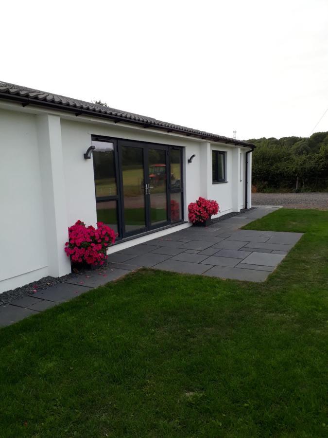Foxholes Accommodation Felton  Εξωτερικό φωτογραφία